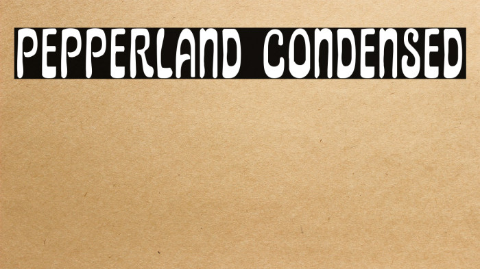 Pepperland Condensed Example 1