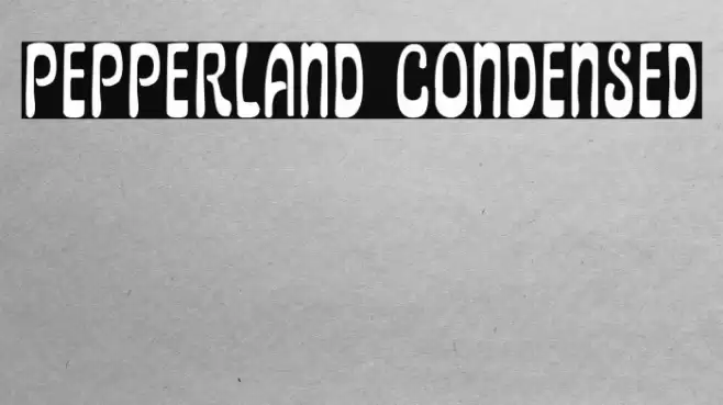 Pepperland Condensed Font examples