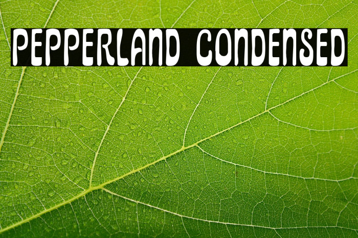 Pepperland Condensed Example 3