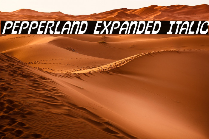 Pepperland Expanded Italic Example 1