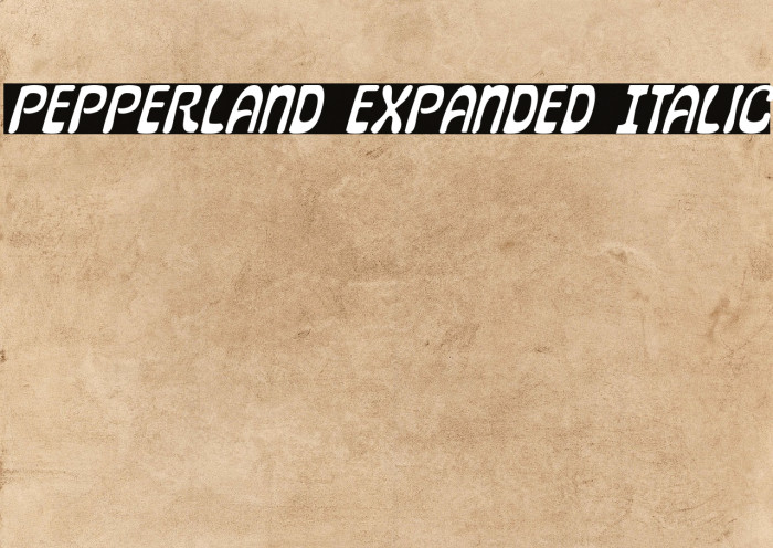 Pepperland Expanded Italic Example 2