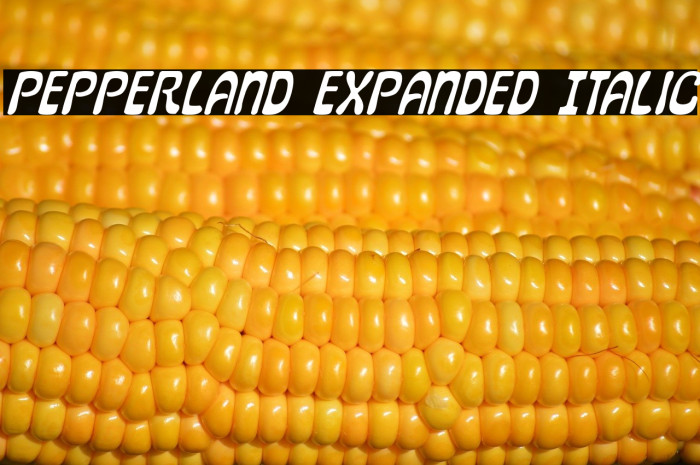 Pepperland Expanded Italic Example 3
