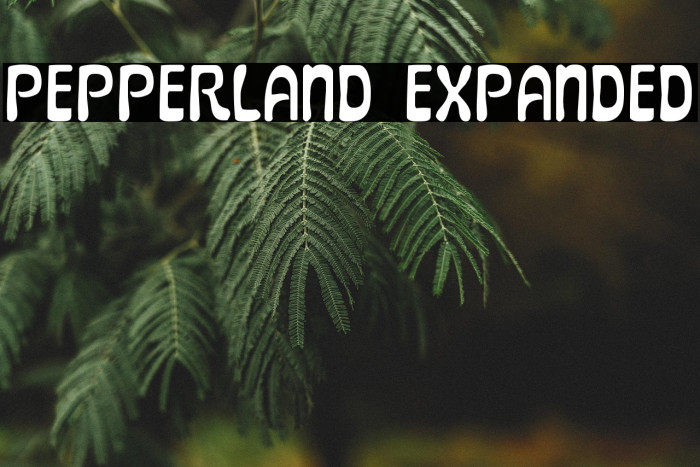 Pepperland Expanded Example 1