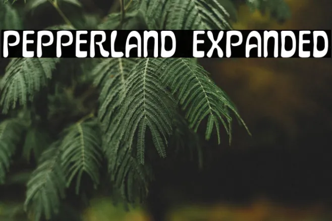 Pepperland Expanded Example 1