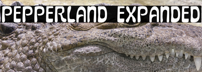 Pepperland Expanded Example 3