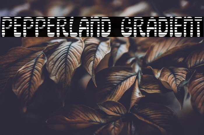 Pepperland Gradient Example 3