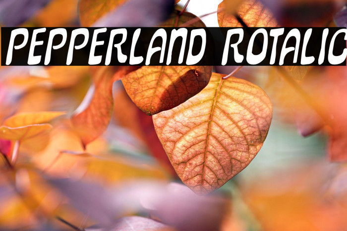 Pepperland Rotalic Example 1