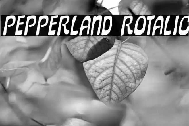 Pepperland Rotalic Font examples
