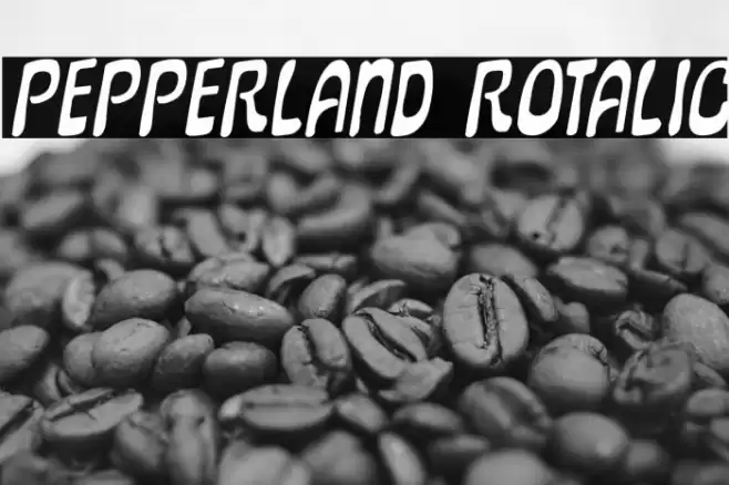 Pepperland Rotalic Font examples