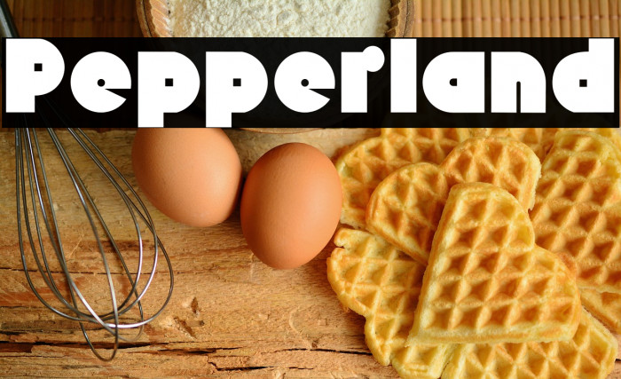 Pepperland Example 1