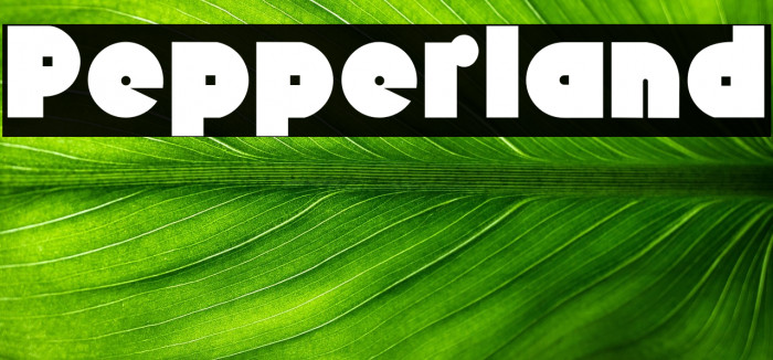 Pepperland Example 2