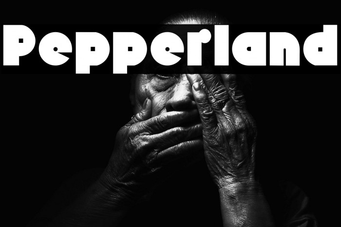 Pepperland Example 3