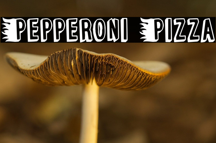 Pepperoni Pizza Example 2