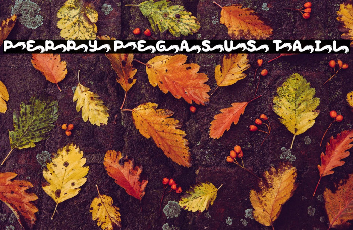 Peppy Pegasus Tail Example 2