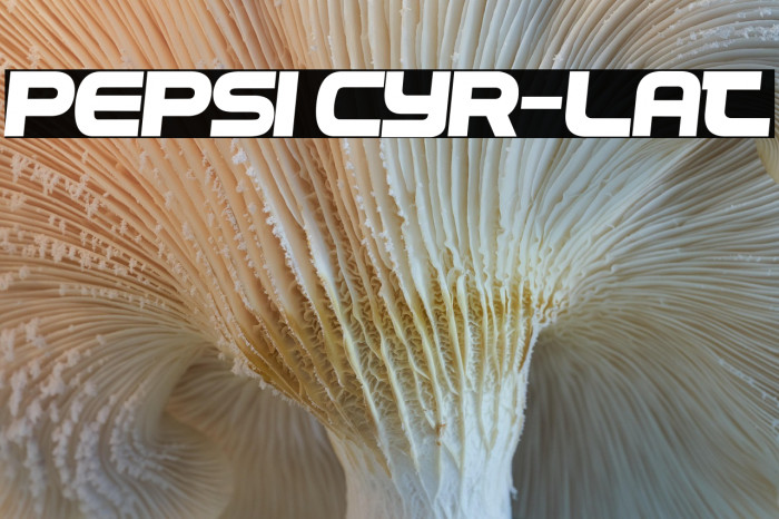 Pepsi Cyr-Lat Example 2