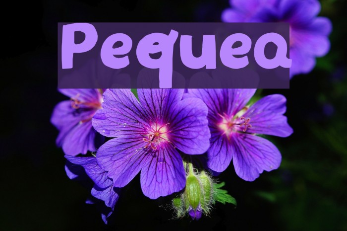 Pequea Fuentes examples