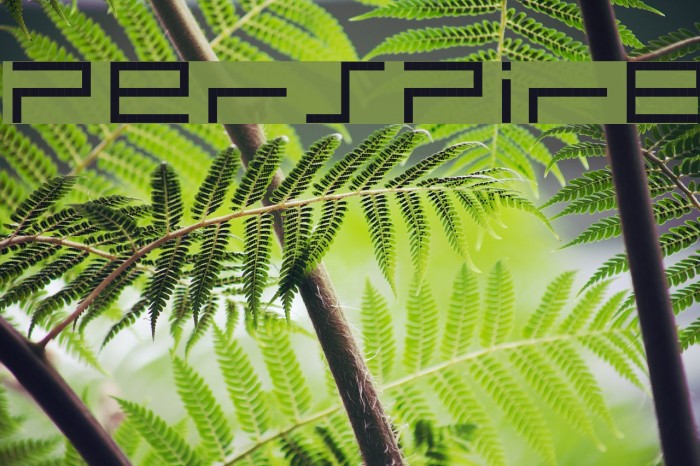 PerSPire Font examples