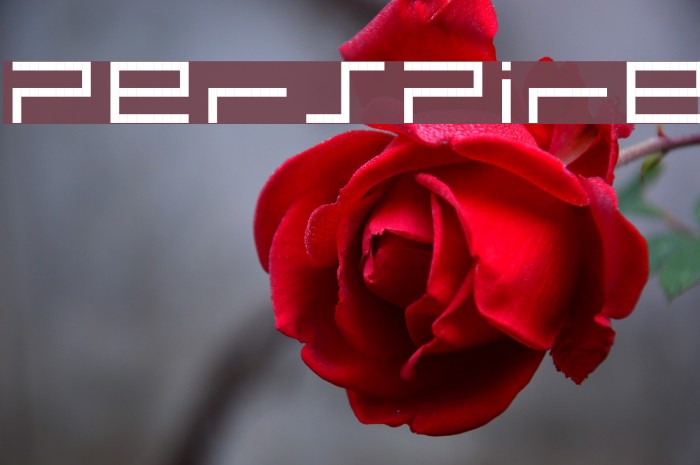 PerSPire Font examples