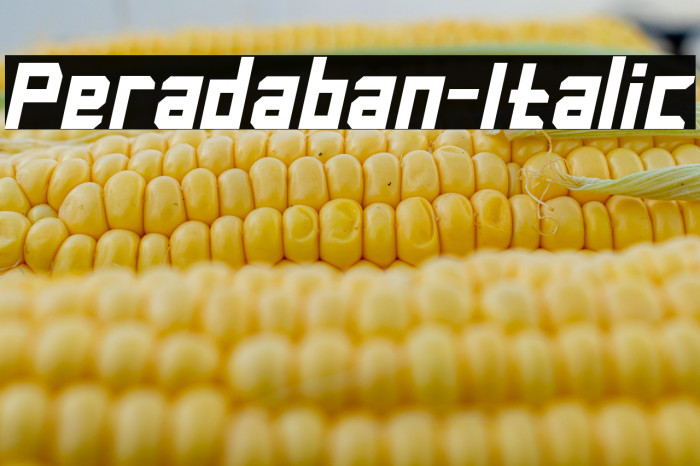 Peradaban-Italic Example 2