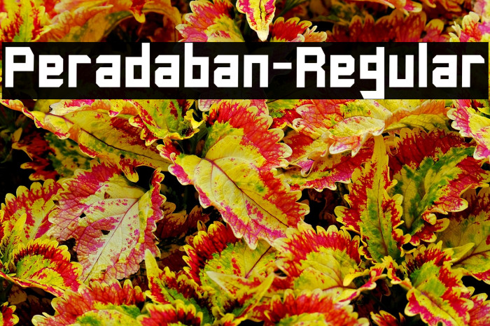 Peradaban-Regular Example 1