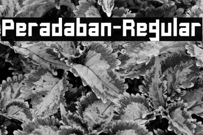Peradaban-Regular Font examples