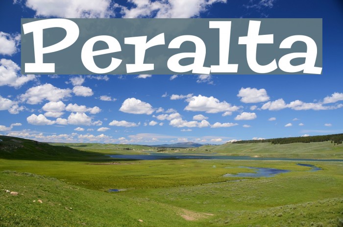 Peralta Font examples