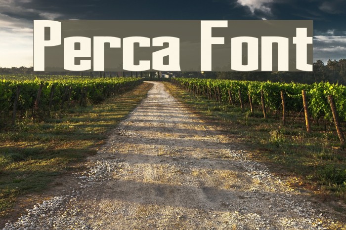 Perca Font examples