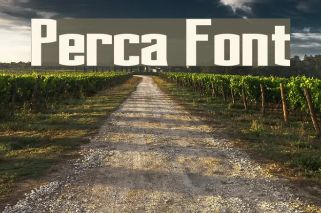 Perca Example 1