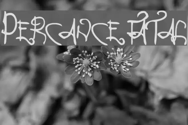 Percance Fatal フォント examples