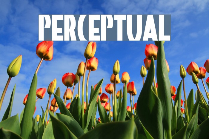 Perceptual Example 1