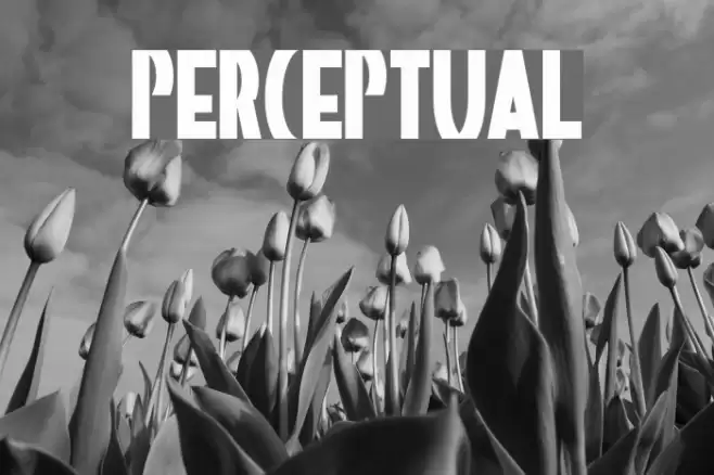 Perceptual Font examples