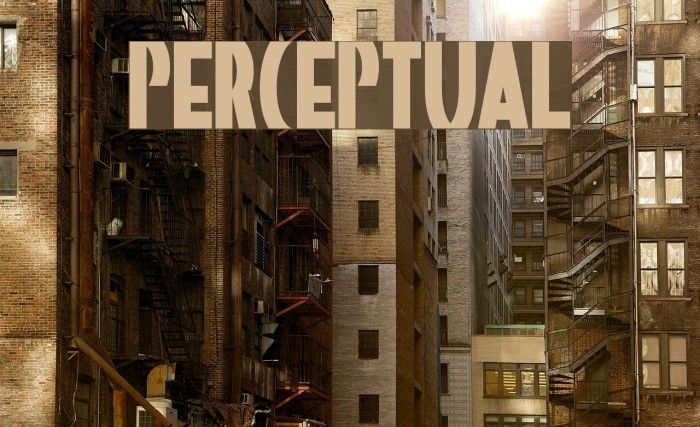 Perceptual Example 2