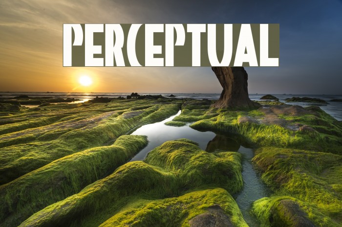 Perceptual Example 3