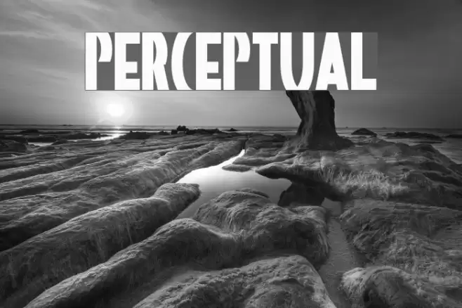 Perceptual Font examples