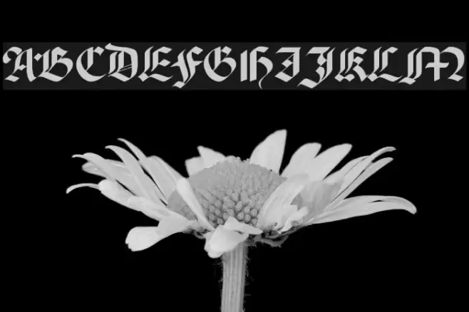 Percival Regular Font examples