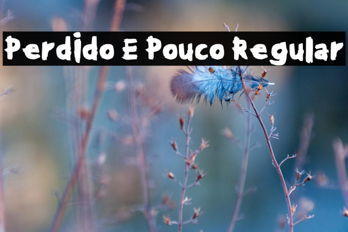 Perdido E Pouco Regular Example 3