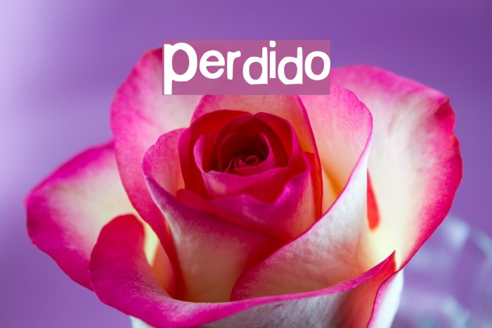 Perdido Font examples