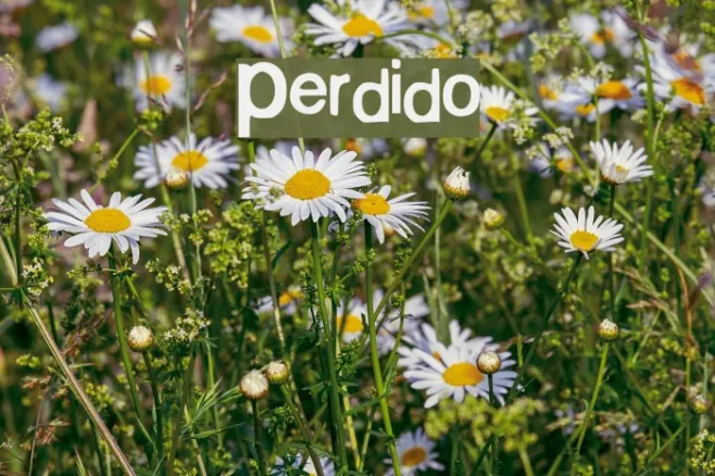 Perdido Example 3