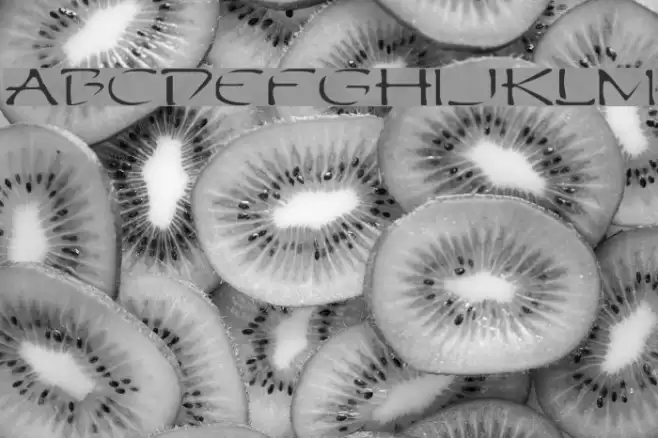 Perdition Extended Font examples