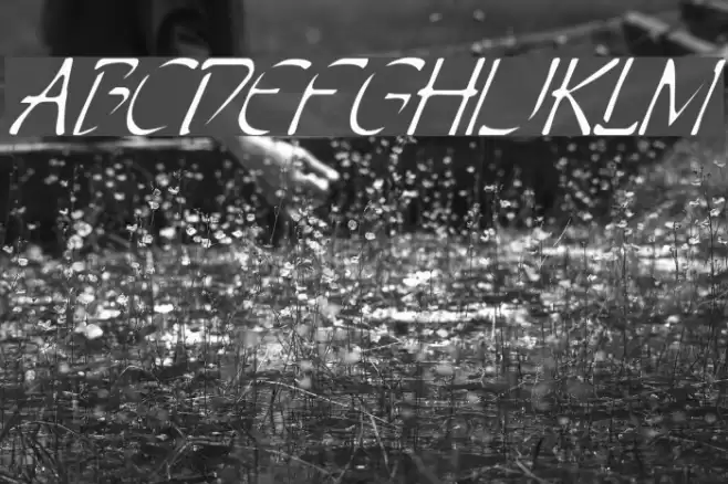 Perdition Italic フォント examples