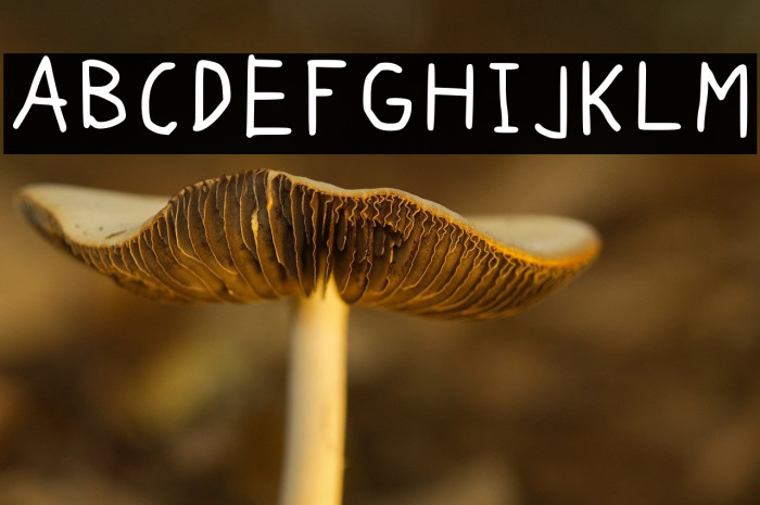 Perdraw Regular Example 2