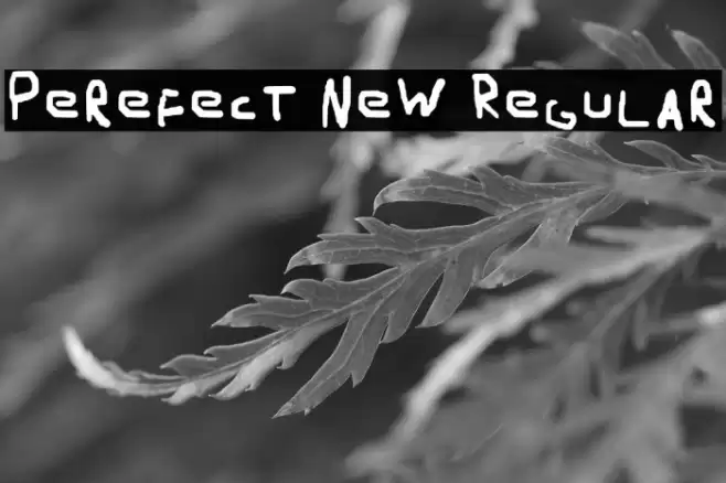 Perefect New Regular خط examples