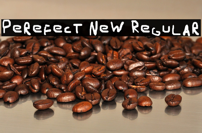 Perefect New Regular Example 2