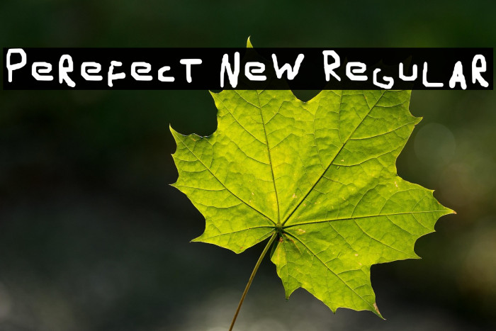 Perefect New Regular Example 3