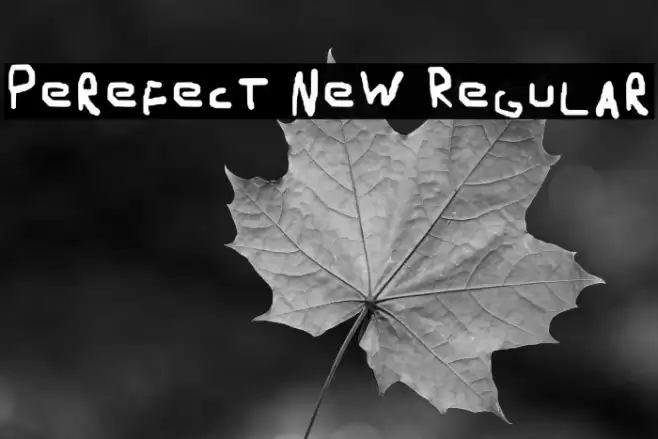 Perefect New Regular خط examples