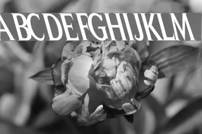 Peregrine Font examples