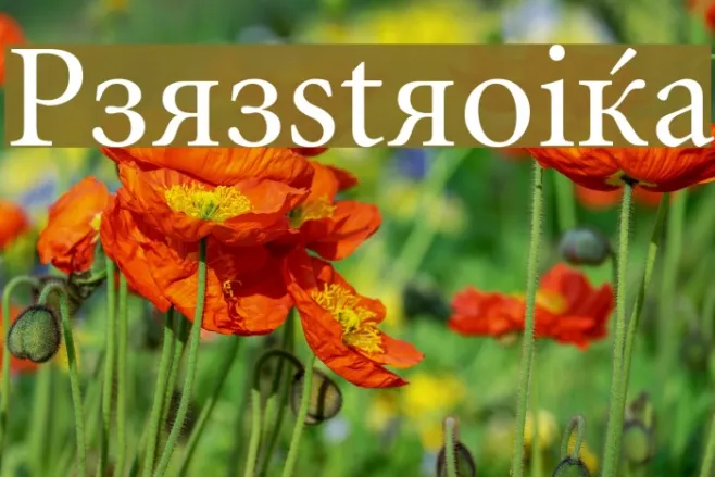 Perestroika Example 1
