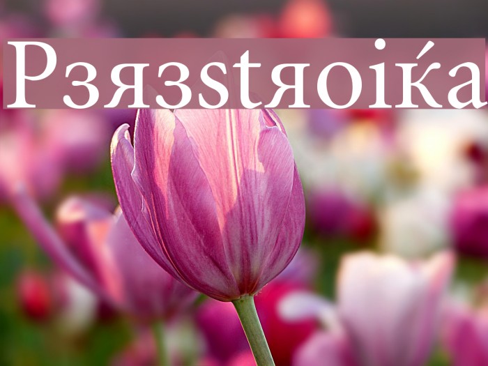 Perestroika Font examples