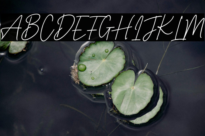 Perfect Beloved Example 1