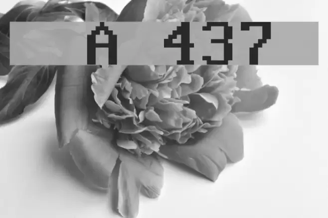 Perfect DOS VGA 437 Win Font examples